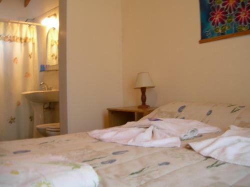 Lodge Caba�a Amuyen
