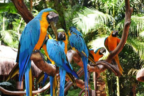 Alquiler Cataratas