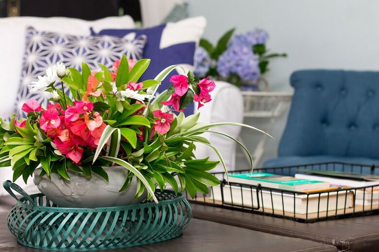 Bed & Breakfast Ch�cara Arac�