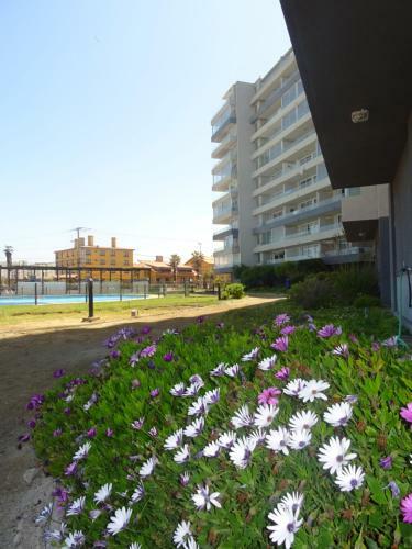 Apartamento Departamentos El Faro 800