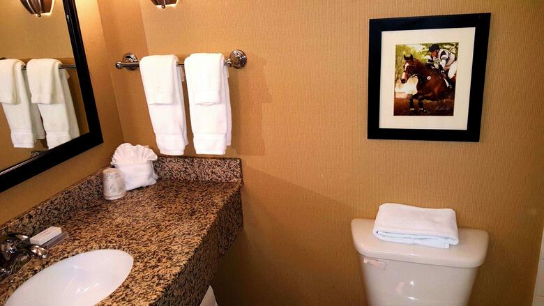 Hotel Hilton Garden Inn Lexington Georgetown