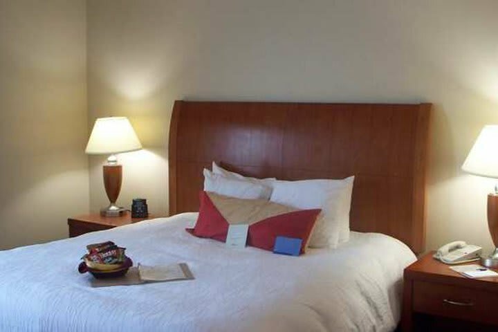 Hotel Hilton Garden Inn Washington Dc/greenbelt