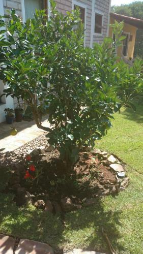 Lodge Pomar Dos Campos