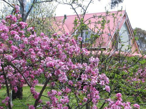 Agroturismo A Country Barn Retreat