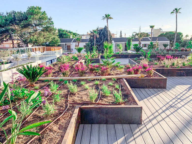 Hotel Paradiso Garden