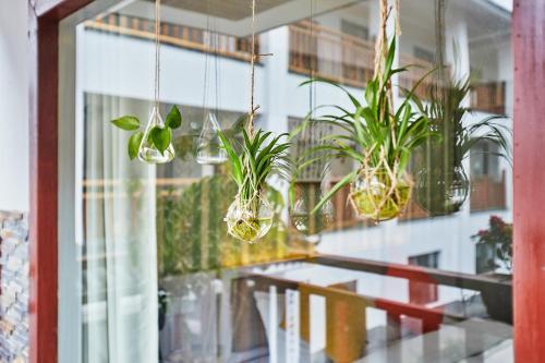 Hangzhou Xihu Qinghe Hostel
