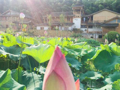 Posada Zhangjiajie Sweet Dream Inn
