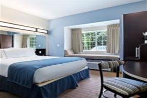 Hotel Microtel Inn & Suites