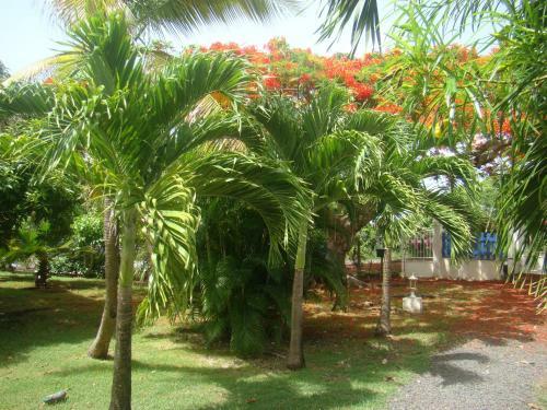 Apartamento Appartements Plage Du Helleux