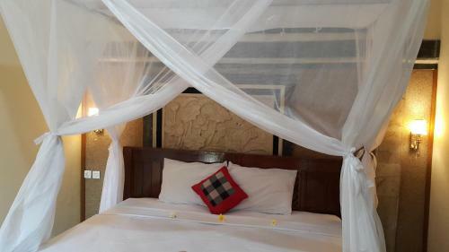 Bed & Breakfast D & D Dive Center Pemuteran