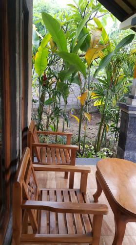 Bed & Breakfast D & D Dive Center Pemuteran
