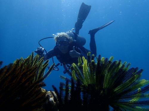 Bed & Breakfast D & D Dive Center Pemuteran
