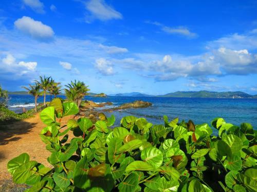 Hotel 2br Luxury Beachfront Duplex Villa On Sapphire Beach III