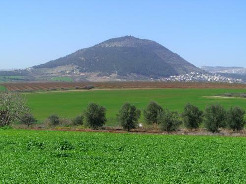 Noach Batavor