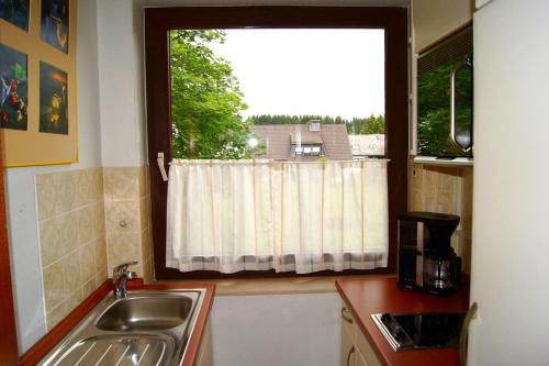 Apartamento Winterberg Appartement 21051