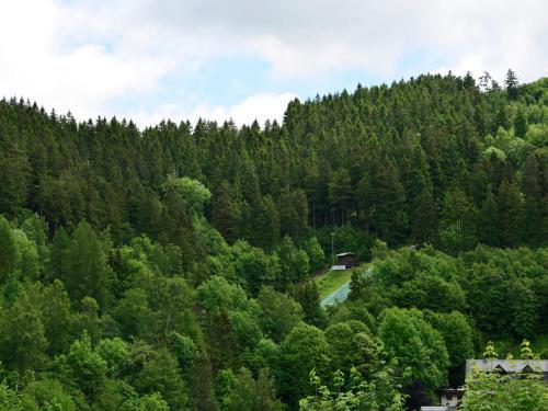 Large Apartment In Willingen With Balcony