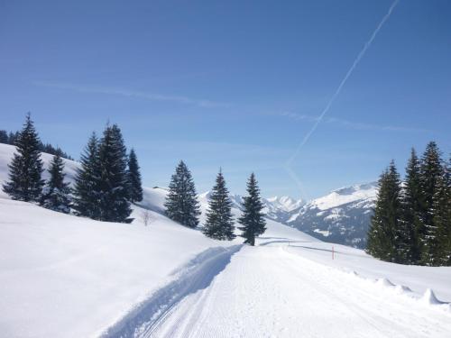 Apartamento Landhaus Aigner-vogler