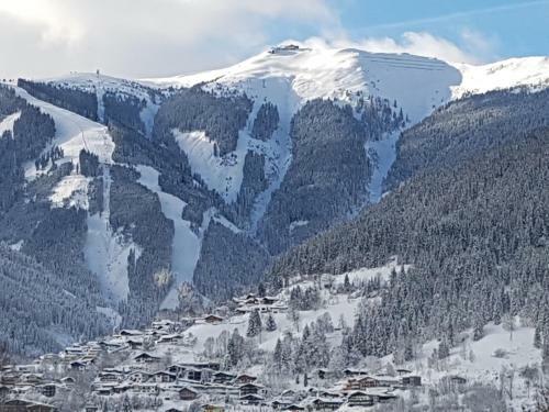 Apartamento Appartementhaus Hollaus