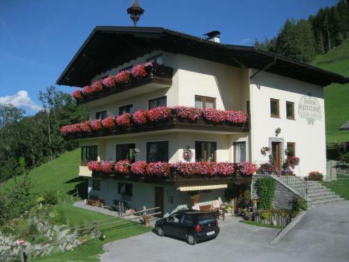 Hostal Pension Spreitzhof & Appartement Royer