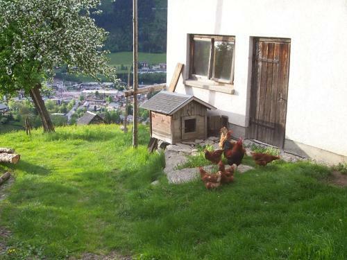 Hostal Pension Spreitzhof & Appartement Royer