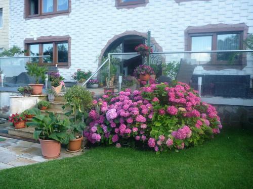 Bed & Breakfast Haus Regina