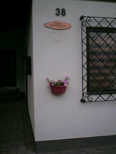 Villa Holiday Home