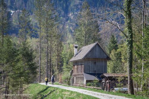 Bed & Breakfast Landhaus Lilly