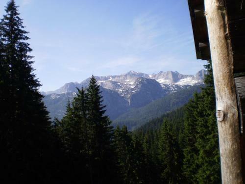 Apartamento Haus Bergblick