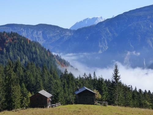 Apartamento Haus Bergblick
