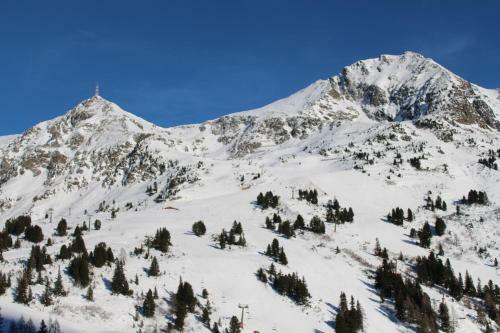 Andi's Skihotel
