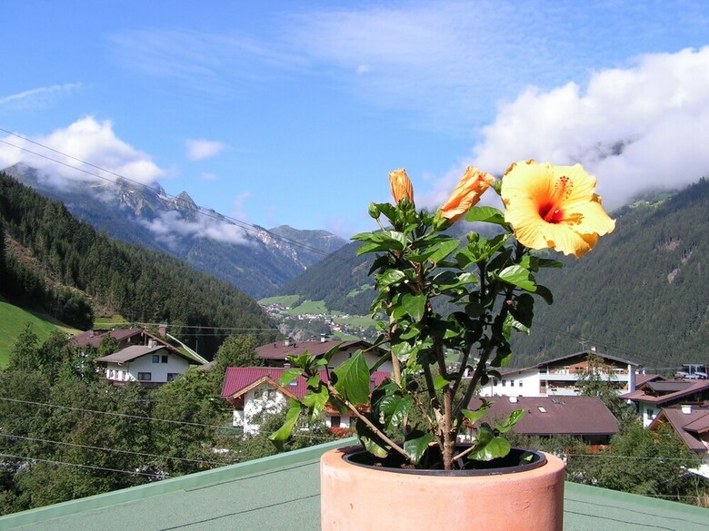 Hotel L�ndenhof Superior