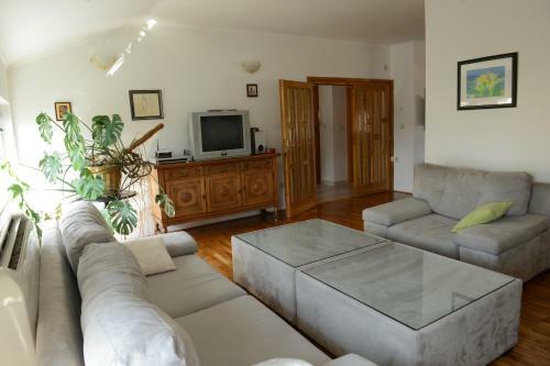 Apartment Boni