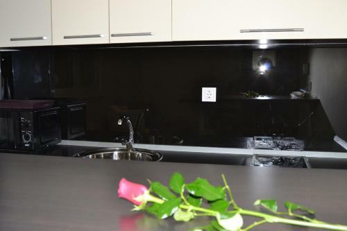 Apartment Nikirent