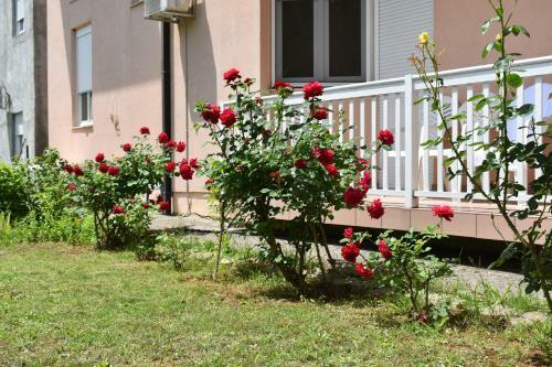 Hostal Guest House Regina Mundi