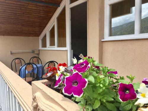Hostal Pansion Villa Anja