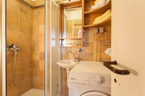 Apartment Sarajka