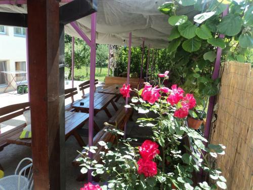 Bed & Breakfast Rooms Modana