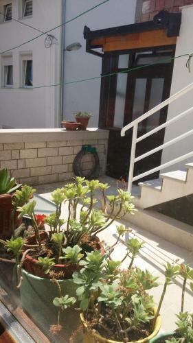 Hostal Guest House Stari