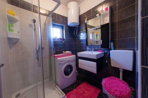 Apartment Cernica