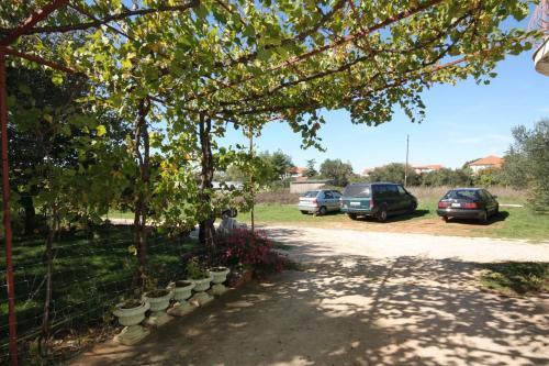Apartment Bibinje 5753c
