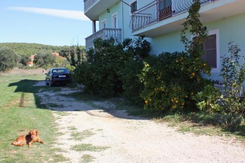 Apartment Bibinje 5753c