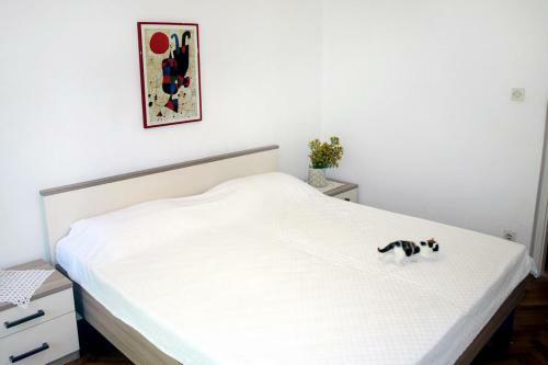 Apartments With A Parking Space Jelsa (hvar) - 8750
