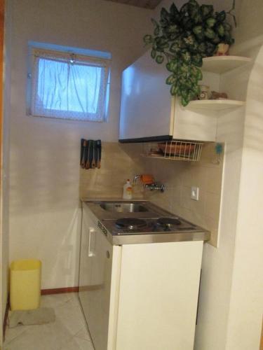 Apartamentos Studio Jelsa 11319a