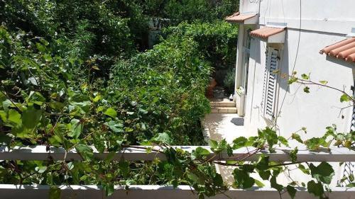 Apartamentos Studio Jelsa 11319a