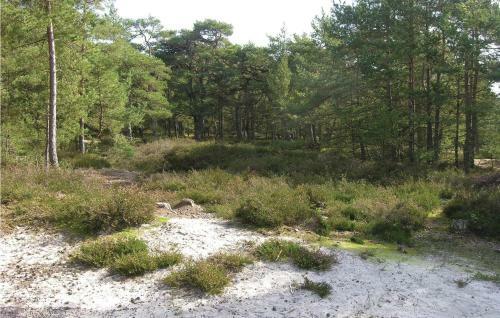 Holiday Home Hejrevej Nex� V