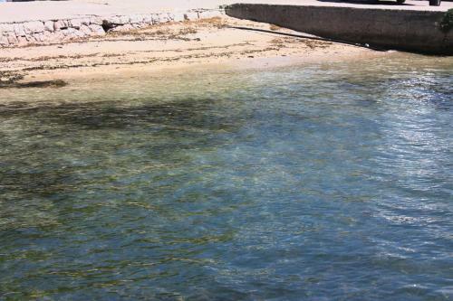 Apartments By The Sea Barbat (rab) - 4978