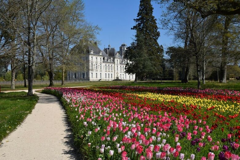 Hotel Logis Du Cygne