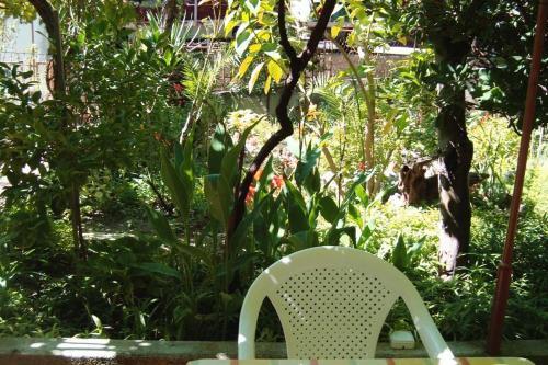 Apartments By The Sea Barbat (rab) - 4977