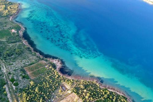 Apartments By The Sea Barbat (rab) - 4977