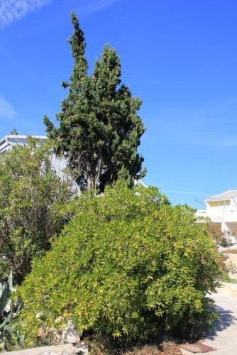 Apartamentos Studio Stara Novalja 9368a